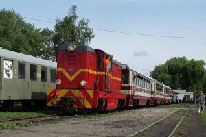 Rogów Towarowy Wąskotorowy - pociąg prowadzony Lxd2-265.