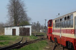 Rogów Wąskotorowy Towarowy - pociąg do Białej Rawskiej.