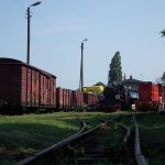 Obie lokomotywy na stacji Gniezno Wąskotorowe.