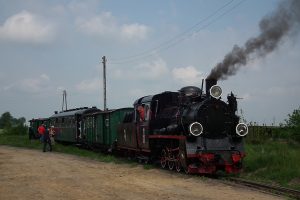 Historyczny pociąg prowadzony Px48-1919 w Niechanowie.