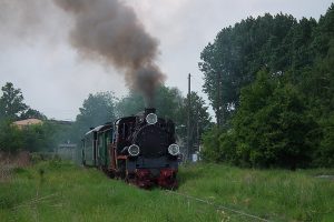 Px48-1919 z pociągiem historycznym na stacji Witkowo.