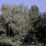 Ogród botaniczny w Łodzi