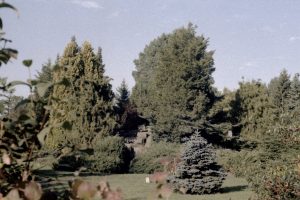 Ogród botaniczny w Łodzi